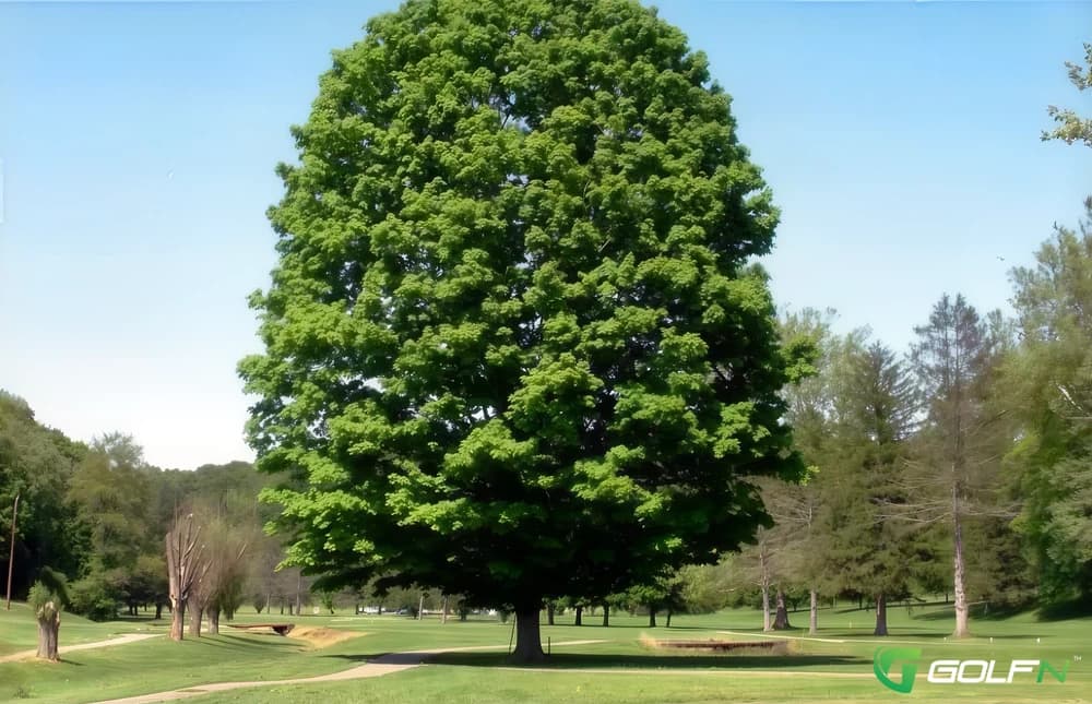 Ironton Country Club in Ironton, Ohio — private, 9-hole golf course
