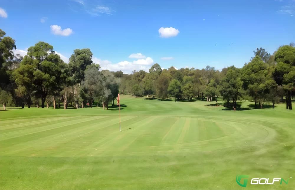 Effingham Golf Club in Effingham, England — private, 18-hole golf course