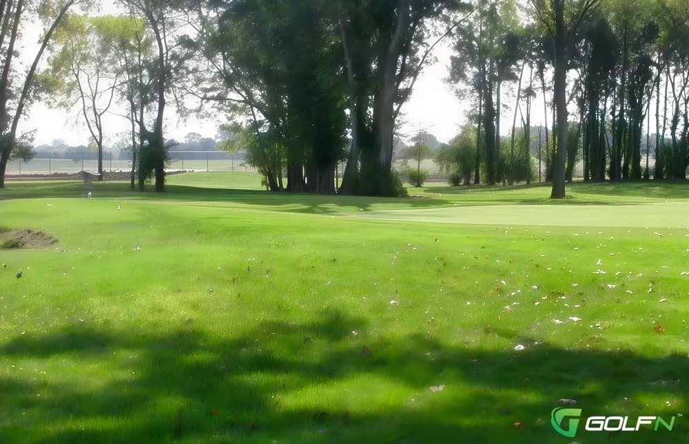 Smyrna Executive Golf Course in Smyrna, Tennessee — public, 9-hole golf course
