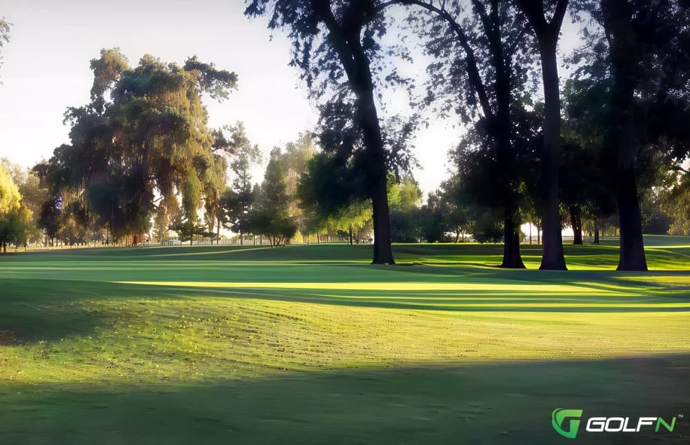 Valley - Valley Oaks Golf Club in Visalia, California — public, 27-hole golf course, designed by Bob Putman