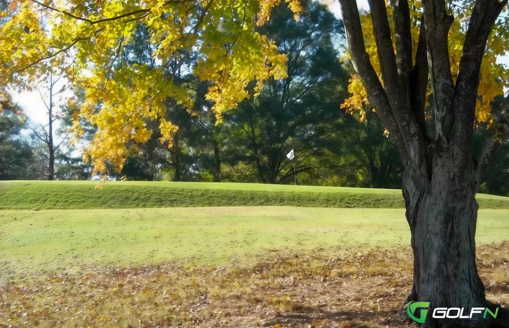 College Park Municipal Golf Course in College Park, Georgia — public, 9-hole golf course