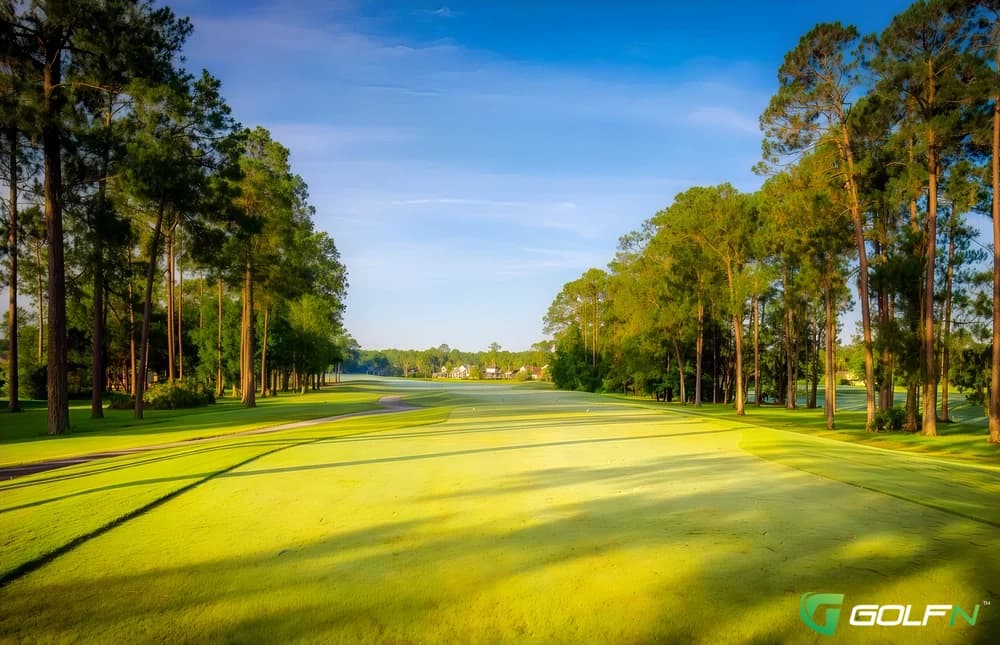 Eagle Harbor Golf Club in Orange Park, Florida — semi-private, 18-hole golf course, designed by Clyde Johnston (1993)