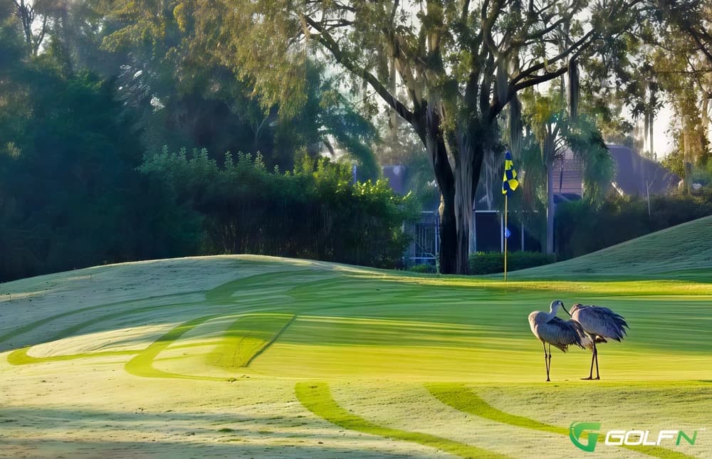 River Club-Lakewood Ranch in Bradenton, Florida — semi-private, 18-hole golf course, designed by Ron Garl (1988)