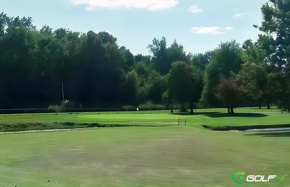 Old Pines Golf Club in Wauseon, Ohio — public, 9-hole golf course
