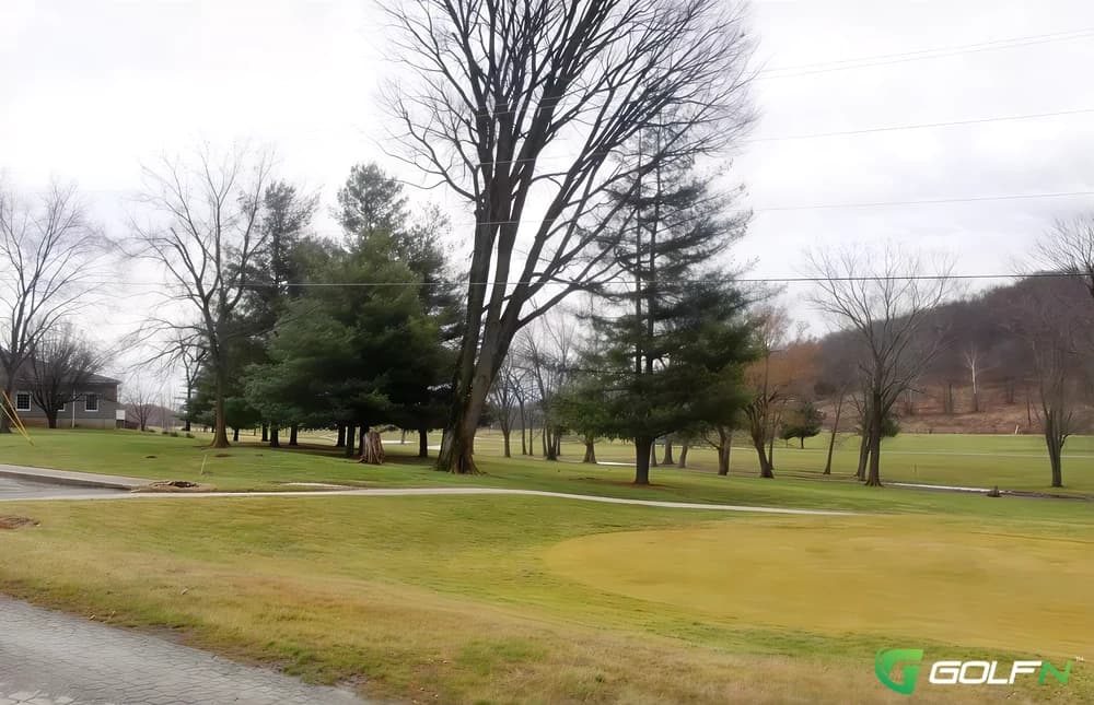 Eildon Golf Club in Eildon, Victoria β semi-private, 18-hole golf course