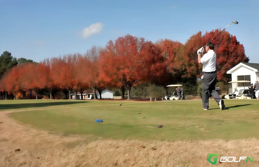 Reedy Creek Golf Course in Four Oaks, North Carolina — public, 18-hole golf course, designed by Gene Hamm