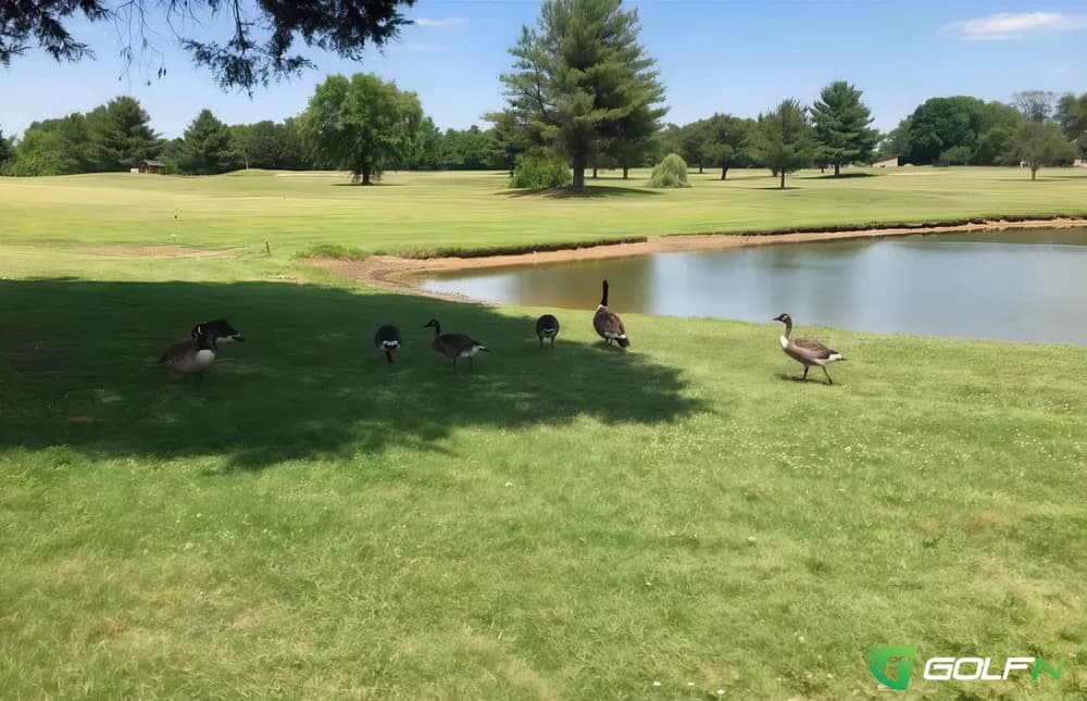 Nine - Eastland Green South in Clarksville, Tennessee — semi-private, 9-hole golf course