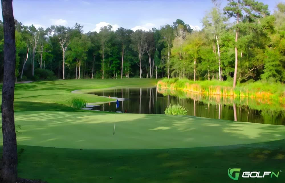 Black Robin - Golf Club At Wescott Plantation in Summerville, South Carolina — public, 27-hole golf course, designed by Dr. Michael Hurdzan (2000)