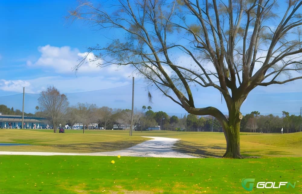 Twin Brooks Golf Course in Saint Petersburg, Florida — public, 9-hole golf course