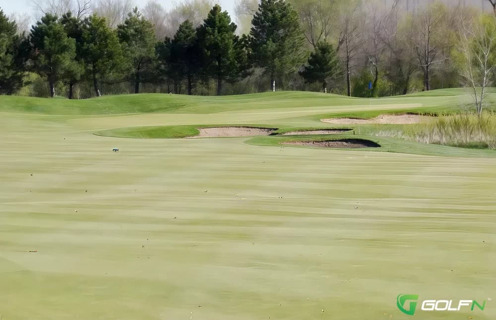 Greyhawk - White Hawk Country Club in Crown Point, Indiana — semi-private, 36-hole golf course, designed by Tim Nugent