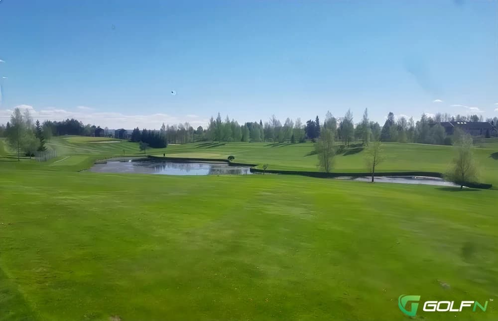 Forest - The Eagles Golf Club in Odessa, Florida — public, 36-hole golf course