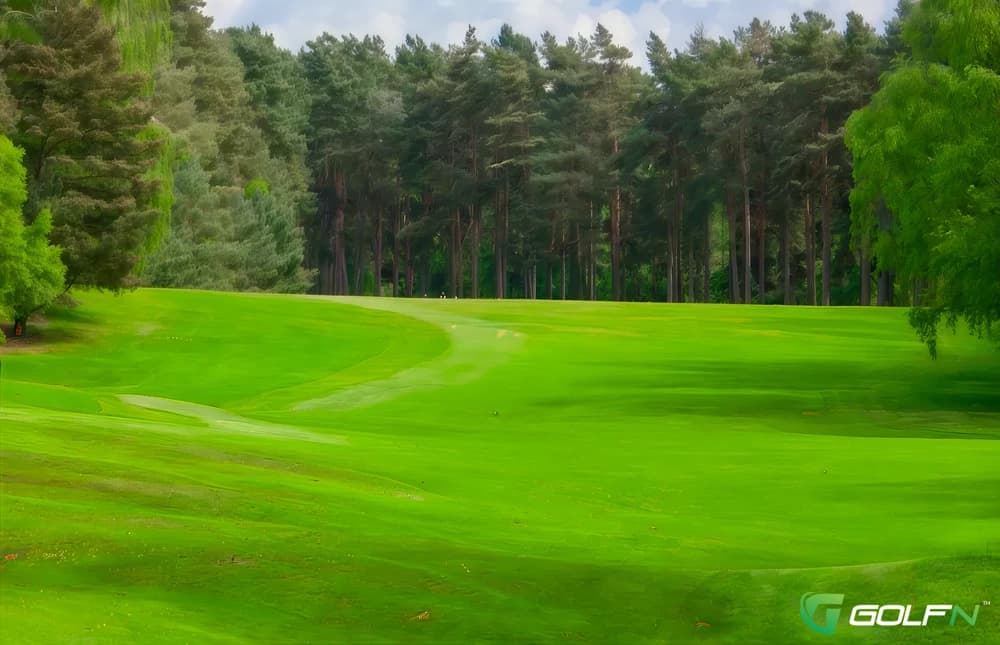 9 Pay And Play - Market Rasen Racecourse in Market Rasen, England — semi-private, 9-hole golf course, designed by Marc Westenborg (2001)
