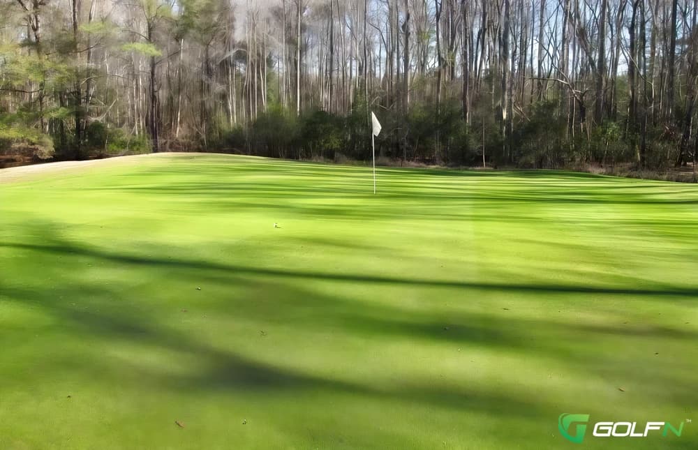 Dogwood Hills Golf Club in Walterboro, South Carolina — public, 9-hole golf course, designed by Donald Ross