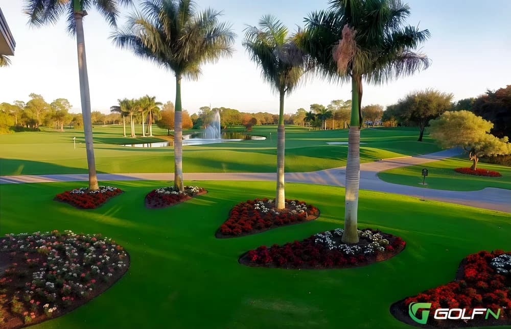 Gold - Wyndemere Country Club in Naples, Florida — private, 27-hole golf course, designed by Arthur Hills (1981)