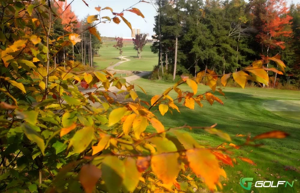 Pheasant Hill Country Club in Owego, New York — public, 18-hole golf course