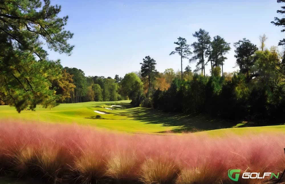 Unc Finley Golf Club in Chapel Hill, North Carolina — public, 18-hole golf course, designed by Tom Fazio (1999)