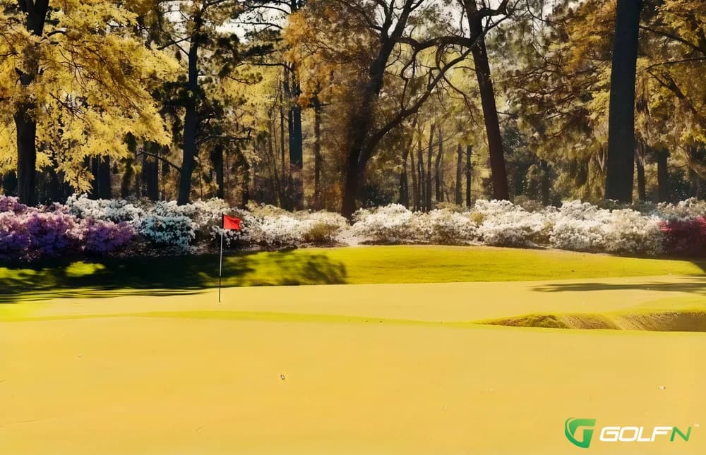 Cape Fear Country Club in Wilmington, North Carolina — private, 18-hole golf course, designed by Donald Ross (1926)