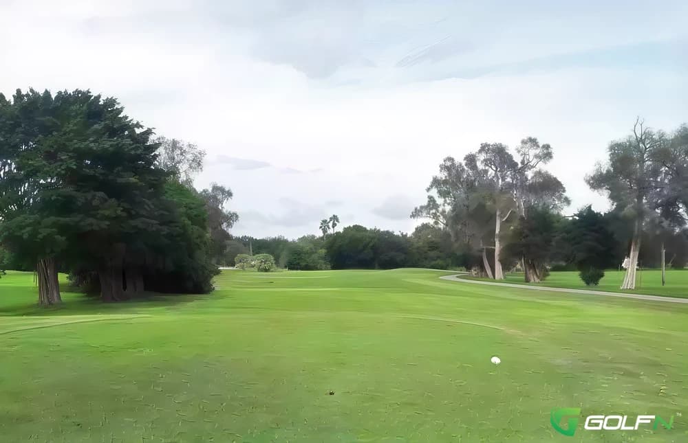 Cooper Colony Country Club in Cooper City, Florida — public, 18-hole golf course, designed by Pat Pattison