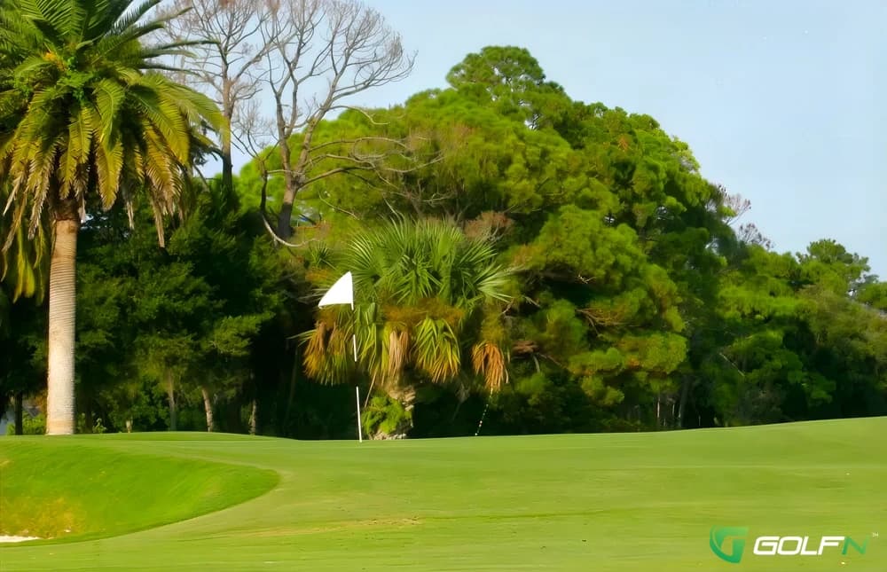 New Smyrna Beach Golf Course in New Smyrna Beach, Florida — public, 18-hole golf course, designed by Donald Ross (1953)