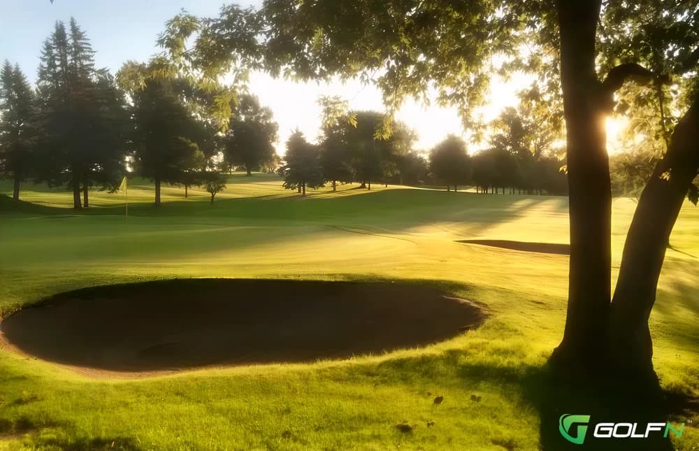 Pine To Palm - Detroit Country Club in Detroit Lakes, Minnesota — semi-private, 36-hole golf course