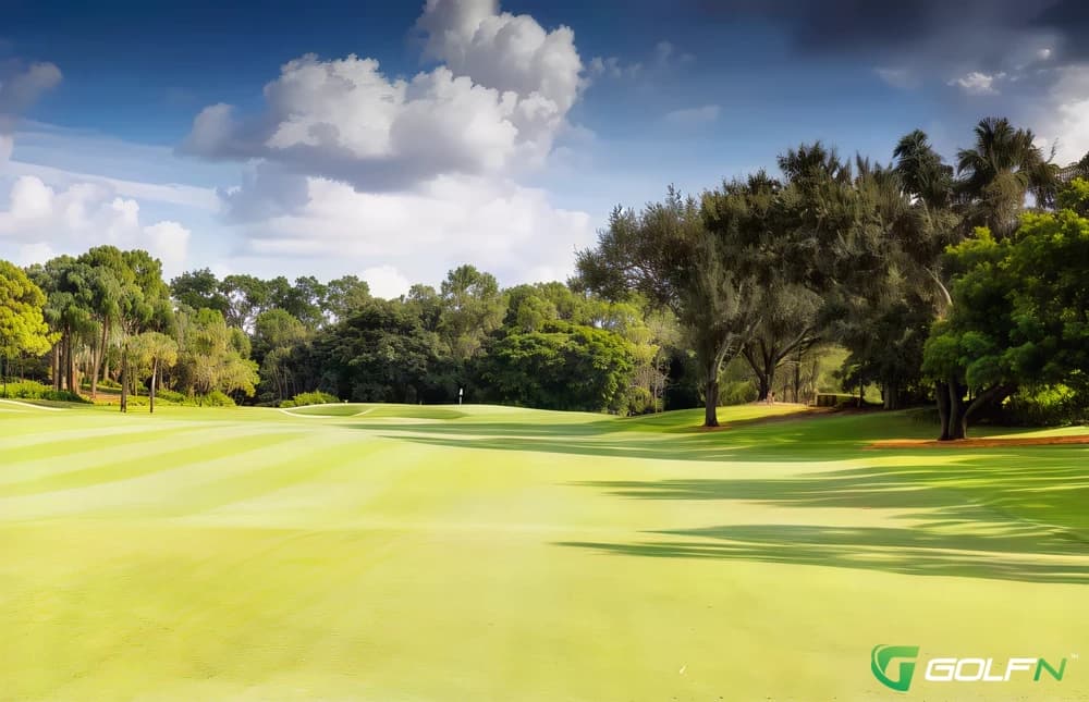 Silver - Foxfire Country Club in Naples, Florida — private, 27-hole golf course, designed by Arthur Hills (1985)