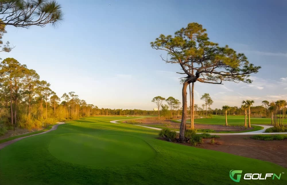 Saltleaf Golf Preserve ~ Leaf Short Course in Bonita Springs, Florida — public, 9-hole golf course, designed by Raymond Floyd (2001)