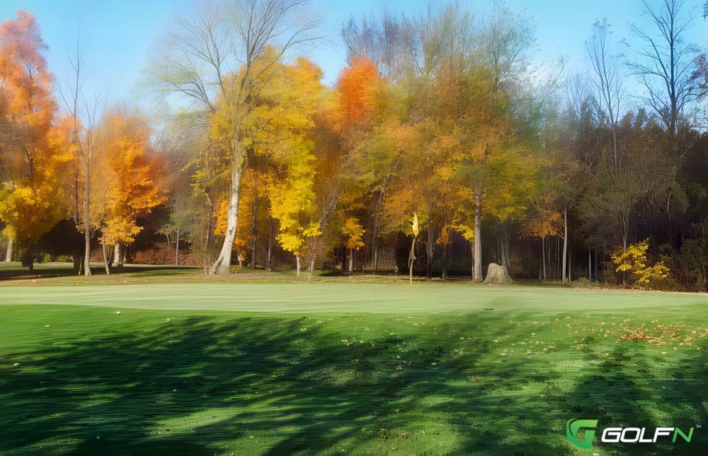 Kis-N-Greens Golf Course in Alden, New York — public, 18-hole golf course