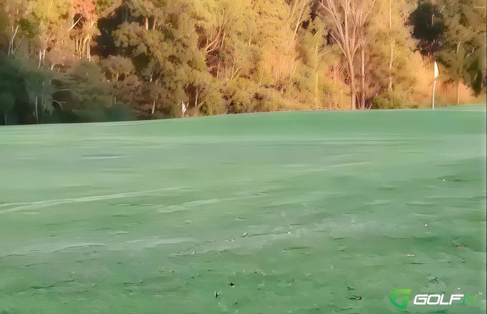 Bridgewood Golf Club in Macon, Georgia — private, 9-hole golf course