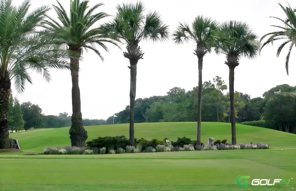Palma Ceia Golf & Country Club in Tampa, Florida — private, 18-hole golf course, designed by Tom Bendelow (1916)