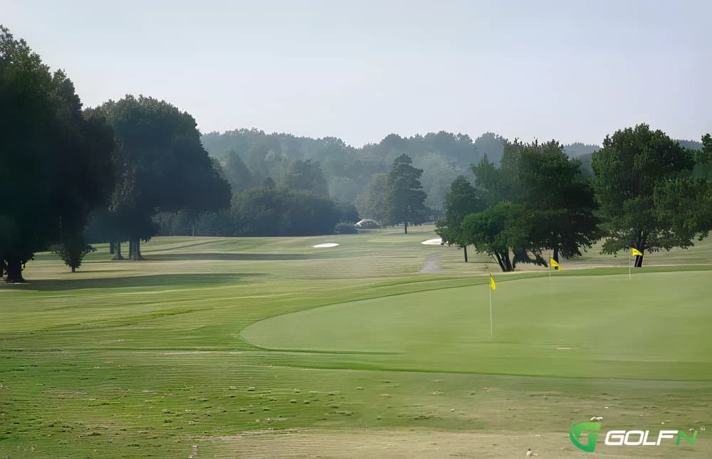 Links At Pine Hill in Memphis, Tennessee — public, 18-hole golf course