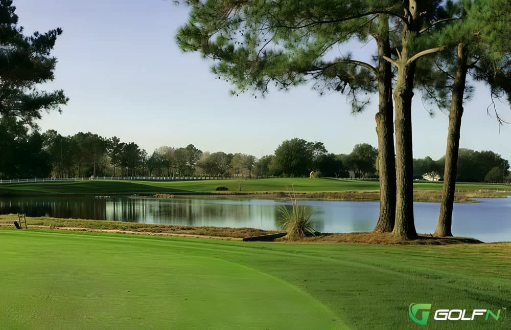 Meadow Oaks Golf & Country Club in Hudson, Florida — semi-private, 18-hole golf course