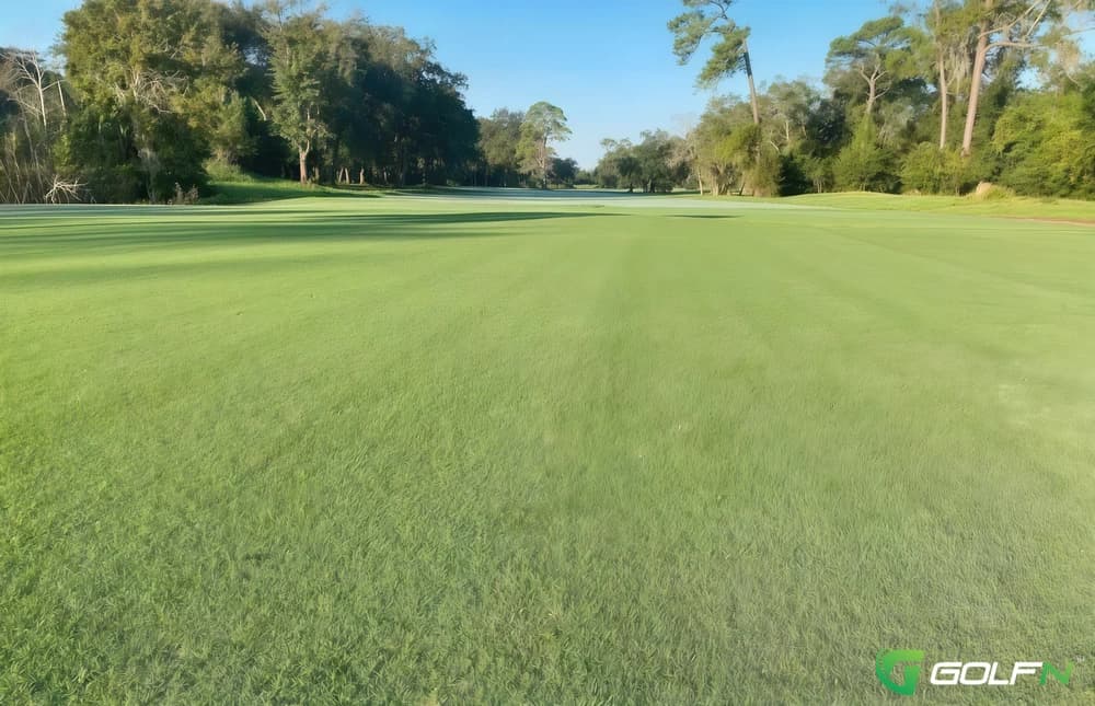 Blue Cypress Golf Club in Jackonville, Florida — 9-hole golf course