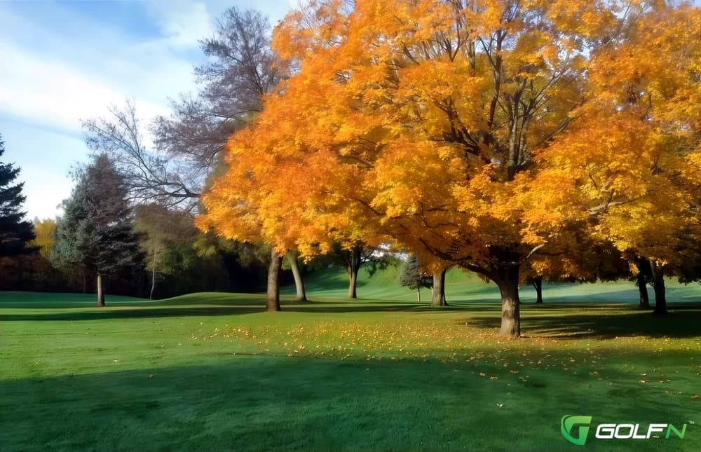 Cedardell Golf Club in Plano, Illinois — semi-private, 18-hole golf course, designed by Leonard Macomber (1926)