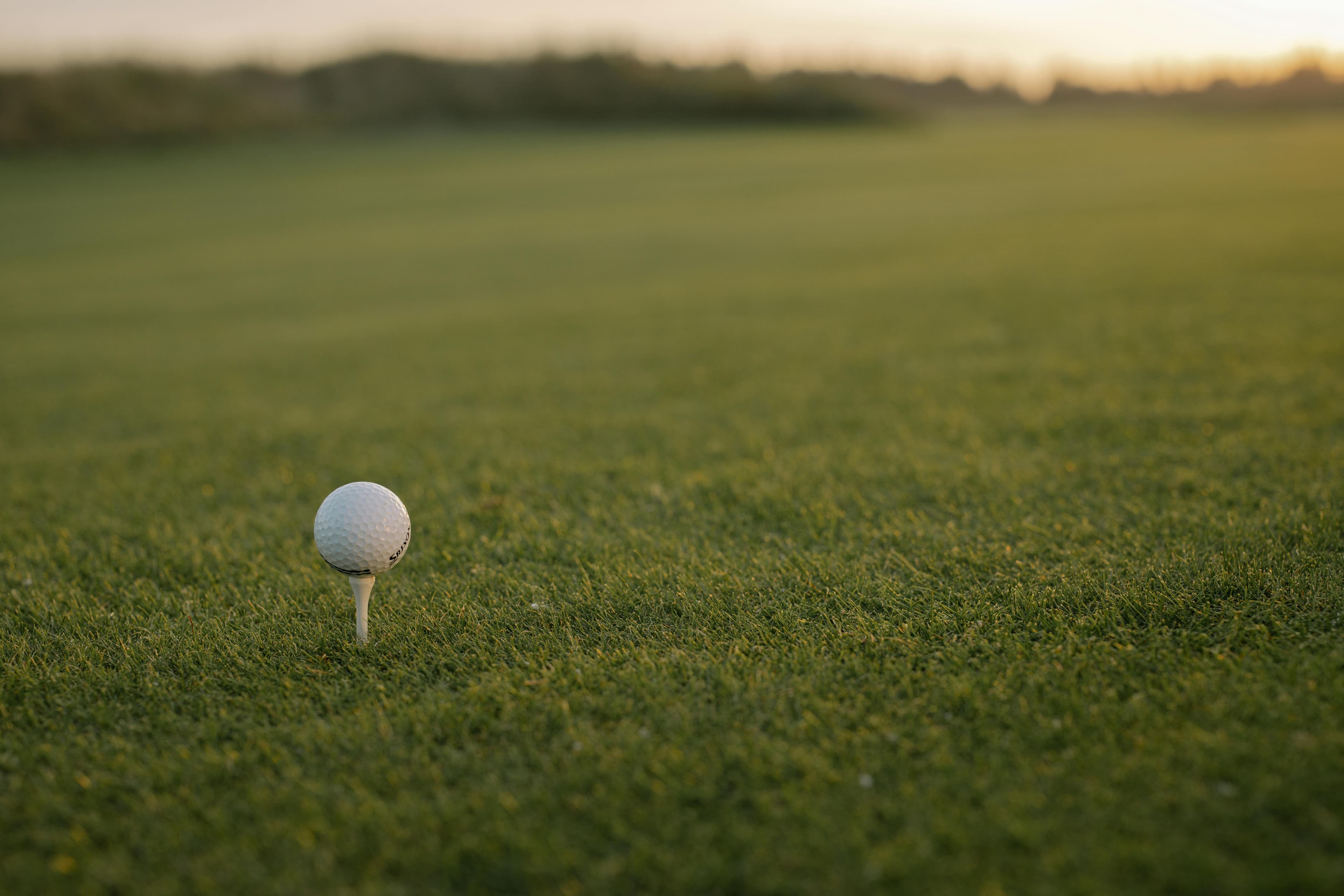 Southern Gate Golf Course in Richton, Mississippi — 18-hole golf course