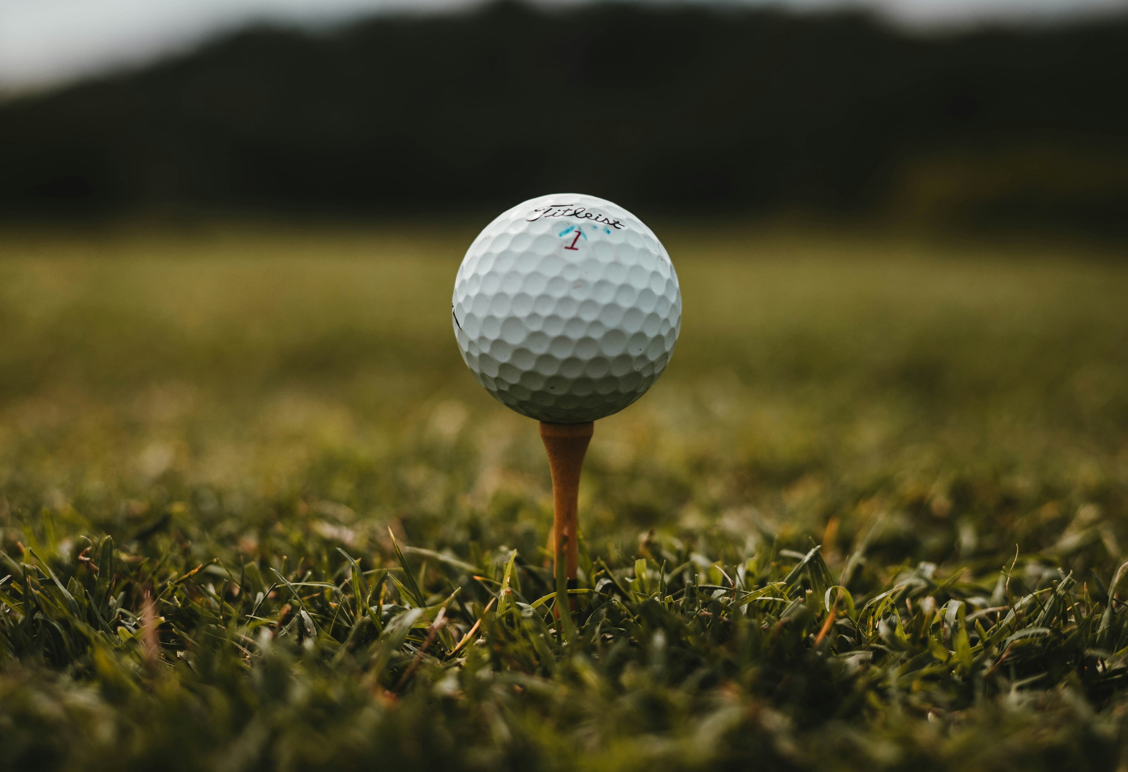 Selmer Golf & Country Club in Selmer, Tennessee — private, 9-hole golf course