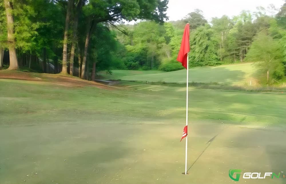 Birmingham Forest Golf Club in Rusk, Texas — public, 9-hole golf course