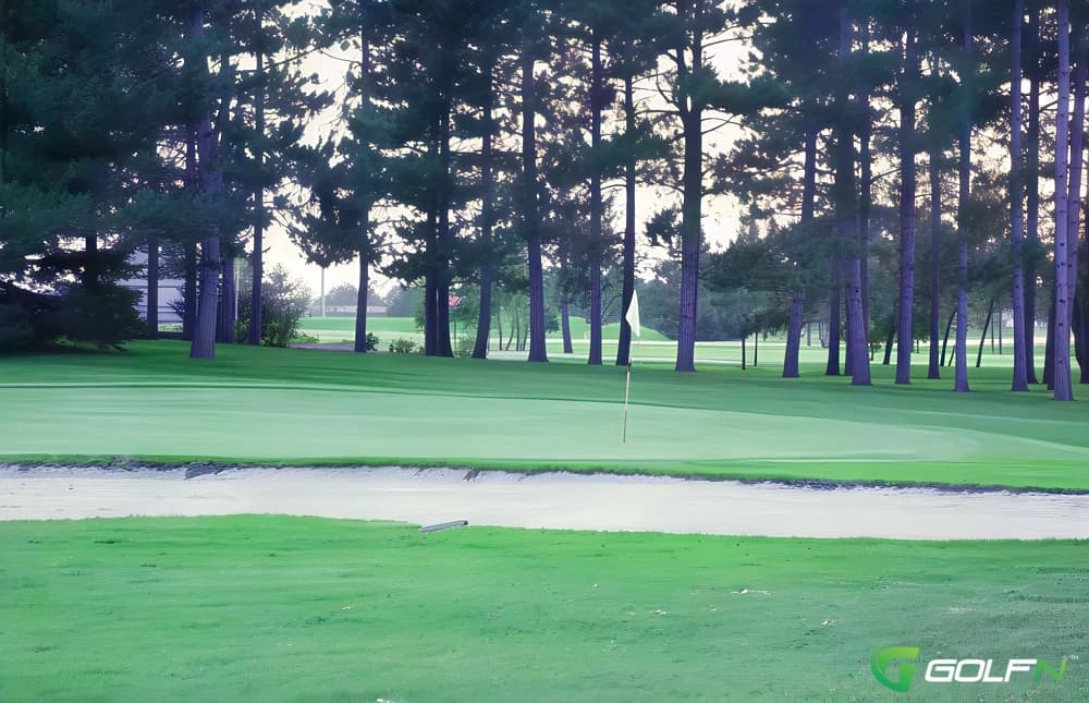 Maple - Perham Lakeside Country Club in Perham, Minnesota — public, 27-hole golf course, designed by Joel Goldstrand