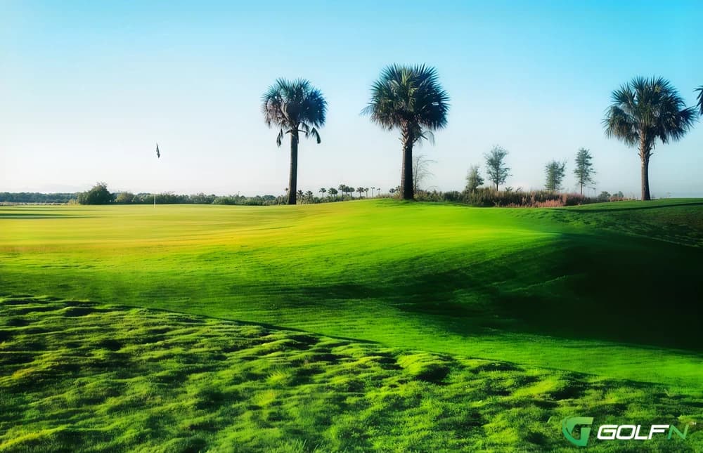 Falcon - Osprey Point Golf Course in Boca Raton, Florida — public, 27-hole golf course, designed by Jeff Grossman (2010)