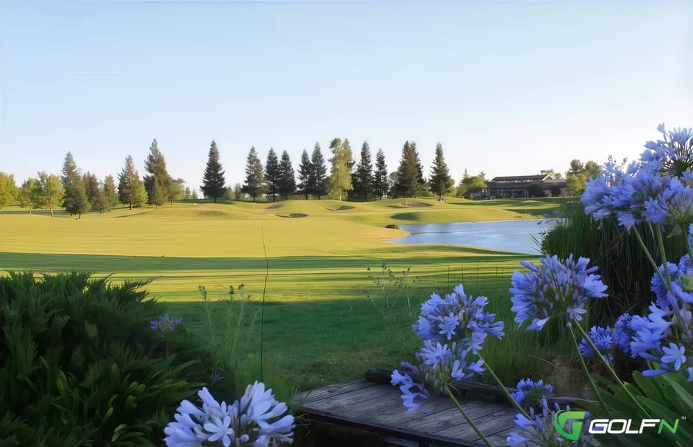 Wildhawk Golf Club in Sacramento, California — public, 18-hole golf course, designed by JMP Golf Design Group