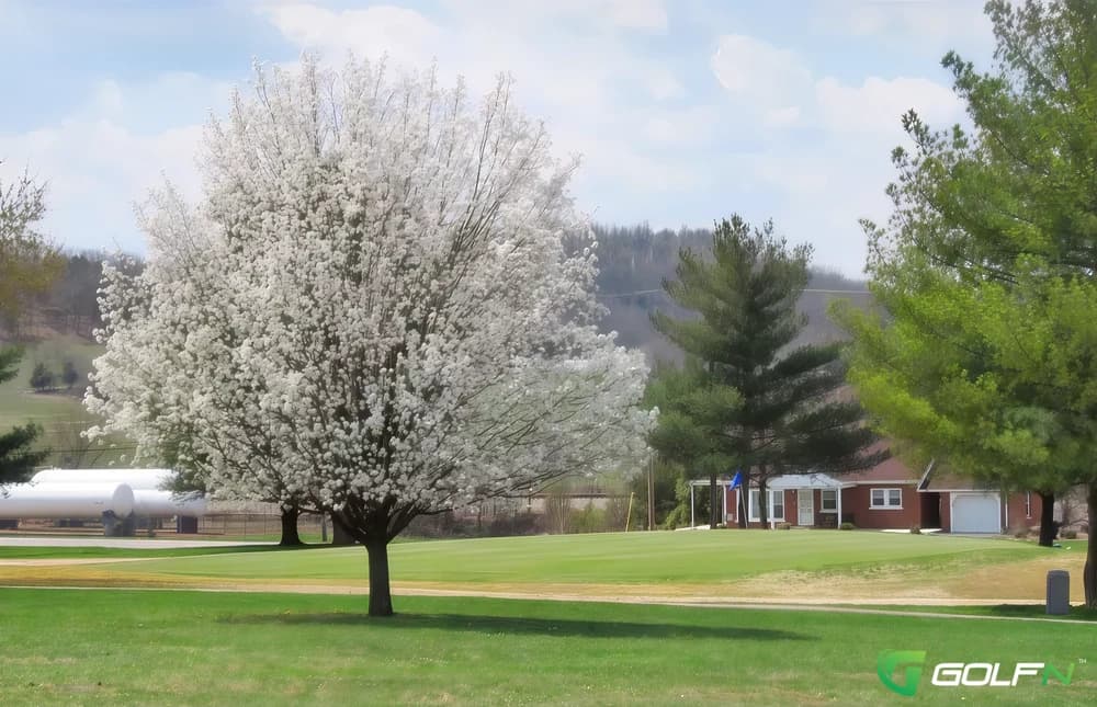 Caveland Country Club in Horse Cave, Kentucky — semi-private, 9-hole golf course