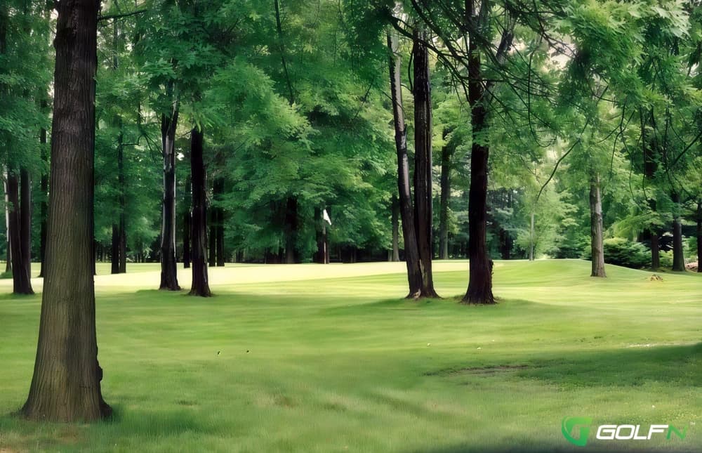 Audreys - Emerald Woods Golf Course in Columbia Station, Ohio — public, 9-hole golf course, designed by Richard McClain