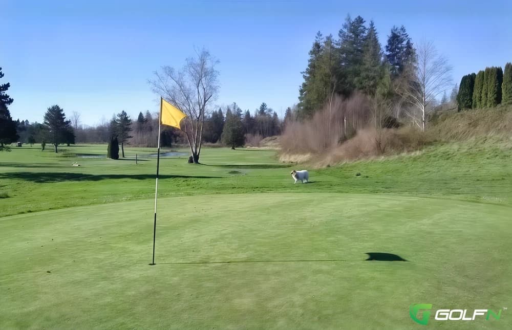 Gateway Golf Course in Sedro Woolley, Washington — public, 18-hole golf course