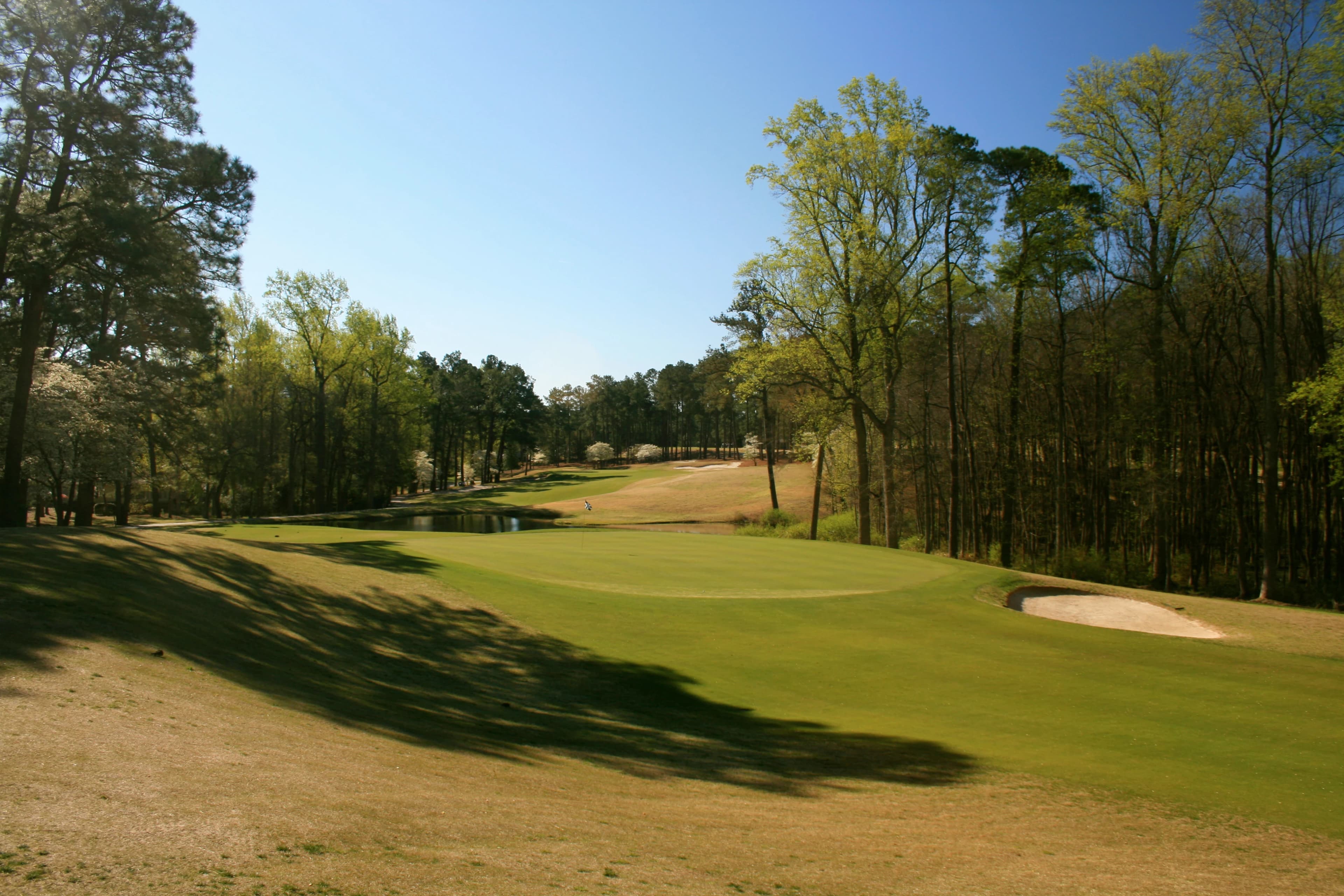 Pinehurst Resort ~ #1 in Pinehurst, North Carolina — resort, 18-hole golf course, designed by Tom Fazio (1999)