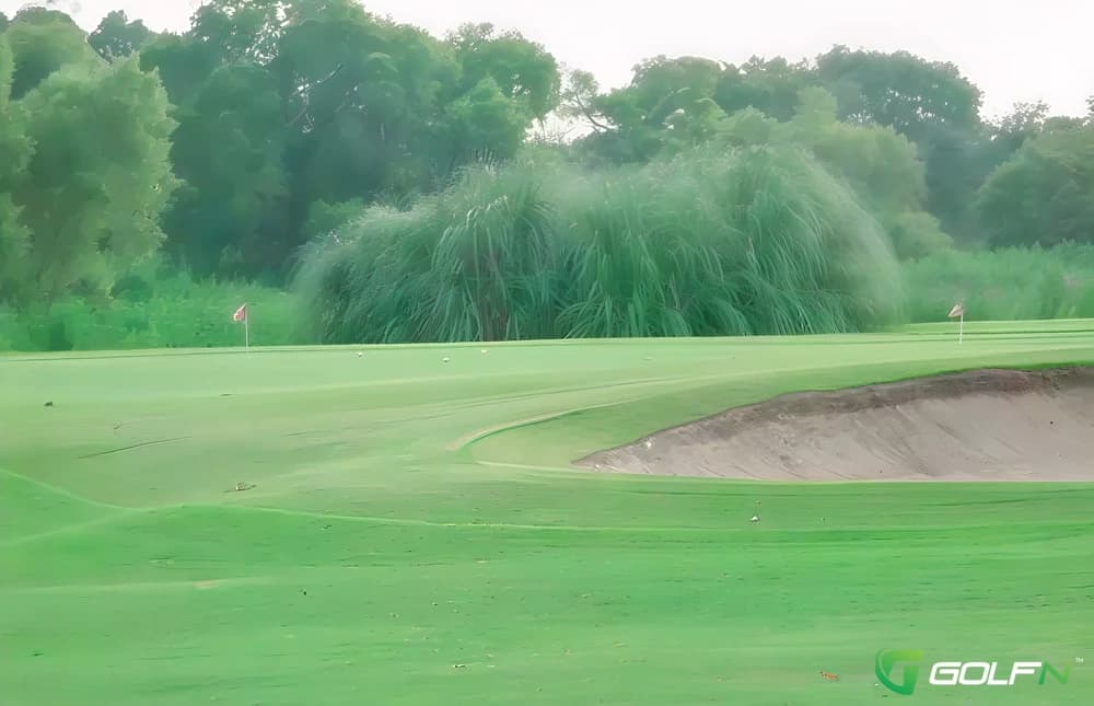 Pine Forest Golf Club in Bastrop, Texas — public, 18-hole golf course, designed by Billy Martindale