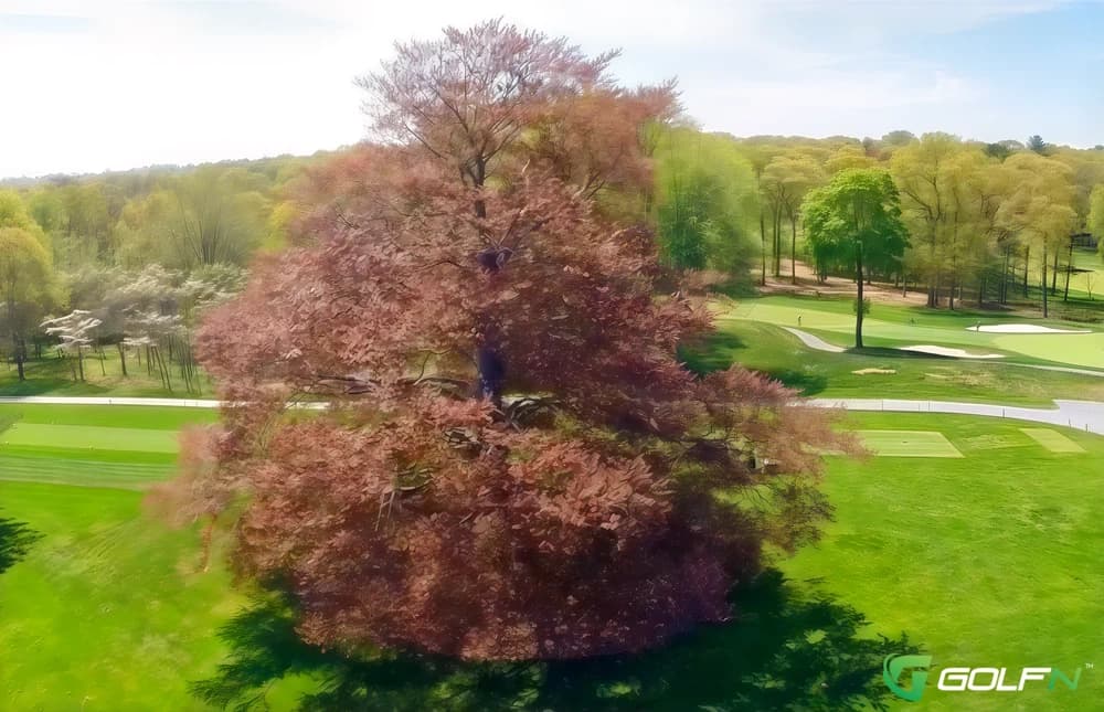 Meadow Brook Club in Jericho, New York — private, 18-hole golf course, designed by Dick Wilson (1955)