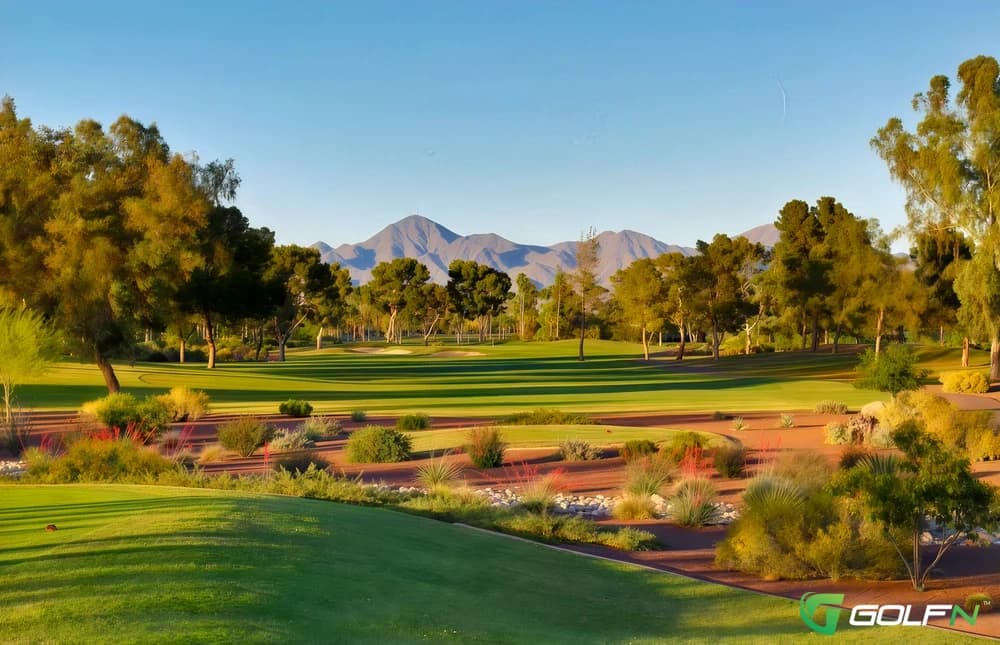 Palm - Mccormick Ranch Golf Club in Scottsdale, Arizona — public, 36-hole golf course, designed by Desmond Muirhead