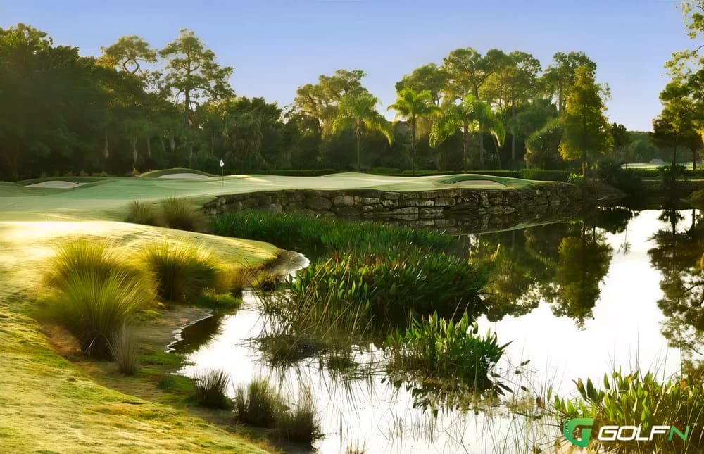 Bear - Forest Country Club in Fort Myers, Florida — private, 36-hole golf course, designed by Gordon G. Lewis (1980)