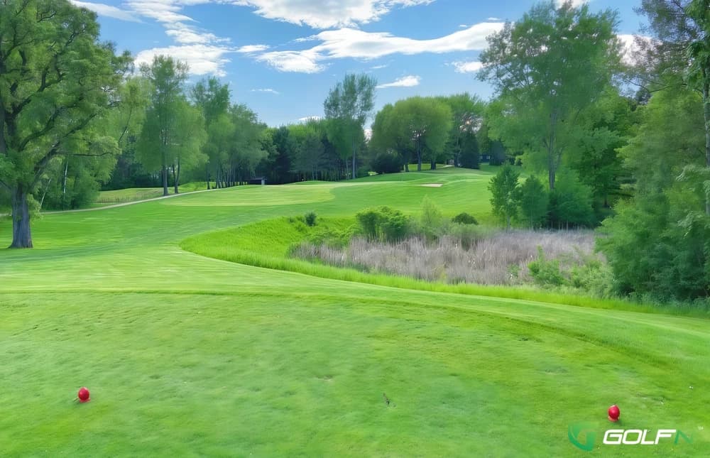 Arbor Pointe Golf Club in Inver Grove Heights, Minnesota — public, 9-hole golf course, designed by Williams, Gill & Associates
