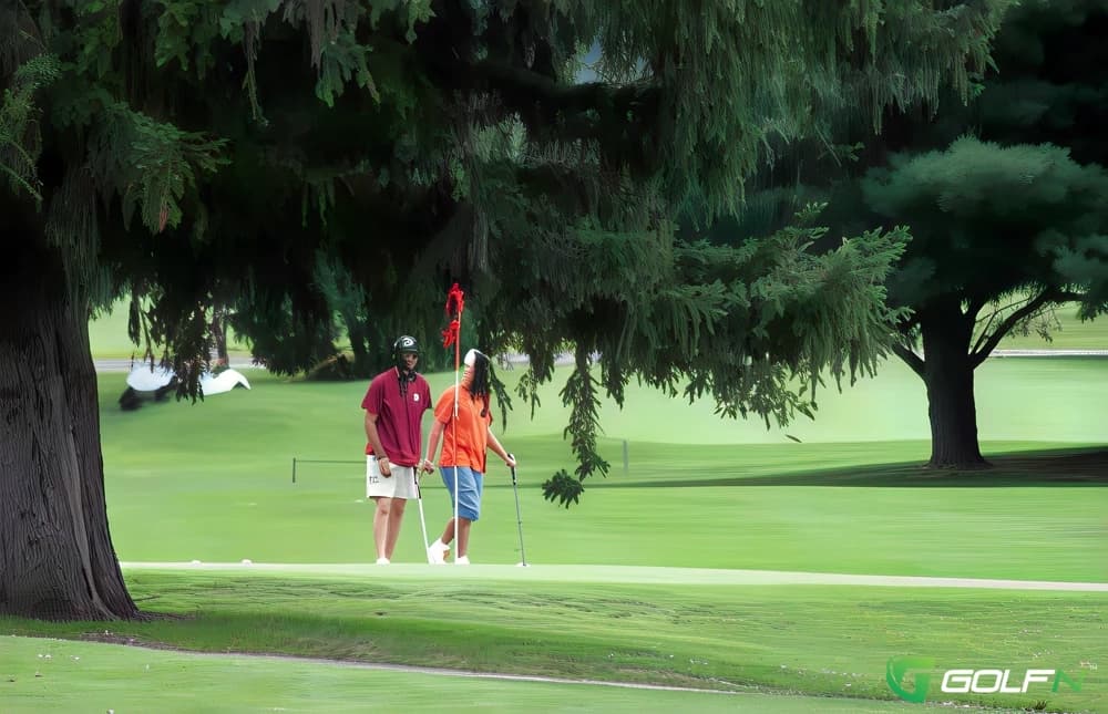 Tomasso'S Chemung Golf Course in Waverly, New York — public, 18-hole golf course, designed by Lou Tomasso