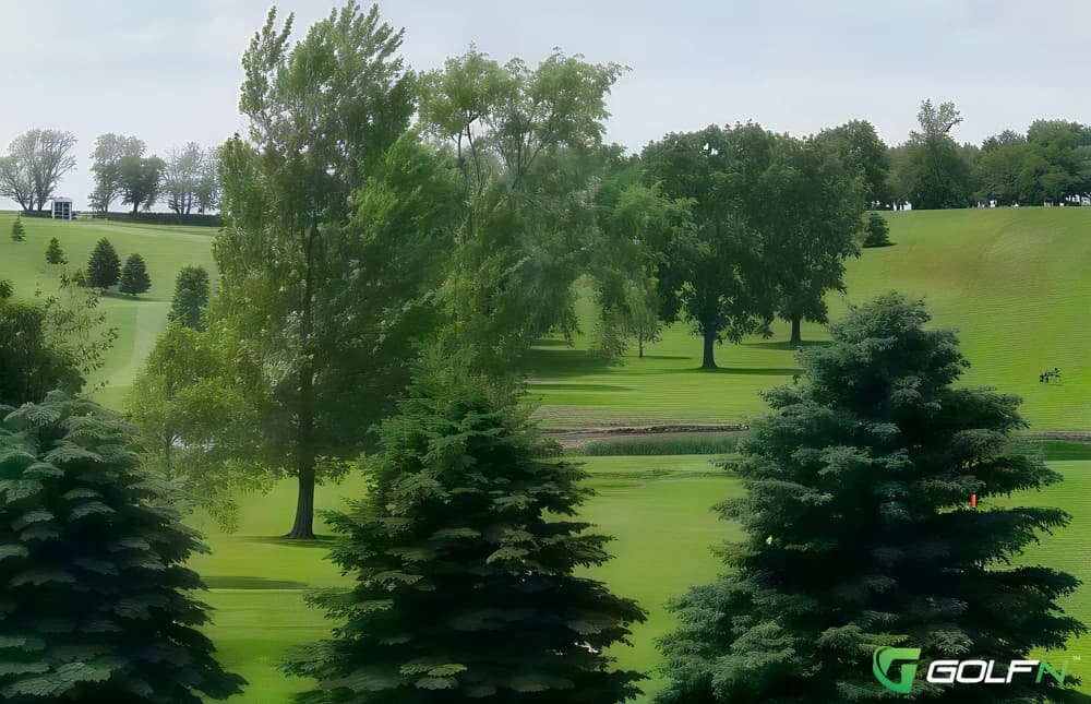 Royal - Canadian Lakes Country Club in Stanwood, Michigan — private, 18-hole golf course